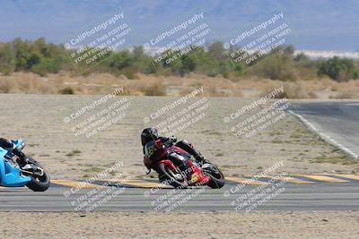 media/Mar-23-2025-CVMA (Sun) [[674f32b282]]/Race 4-Amateur Supersport MW/
